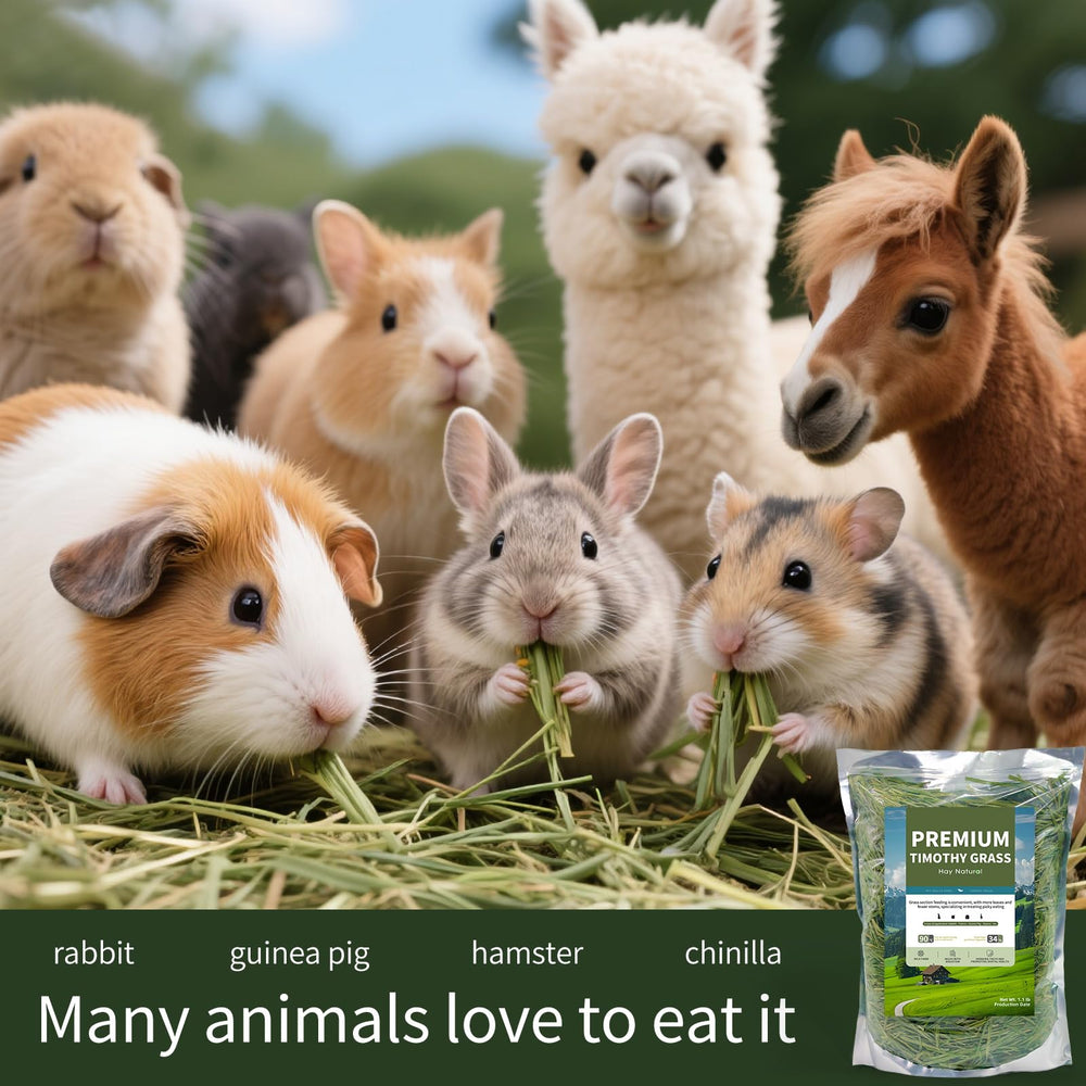 Apto para cobayas, conejos y chinchillas con Hay Natural.