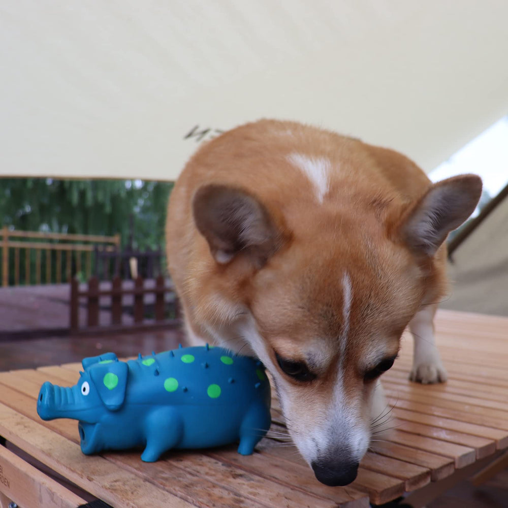 Par de juguetes HCHYEY para perros, dos unidades para sesiones de juego.