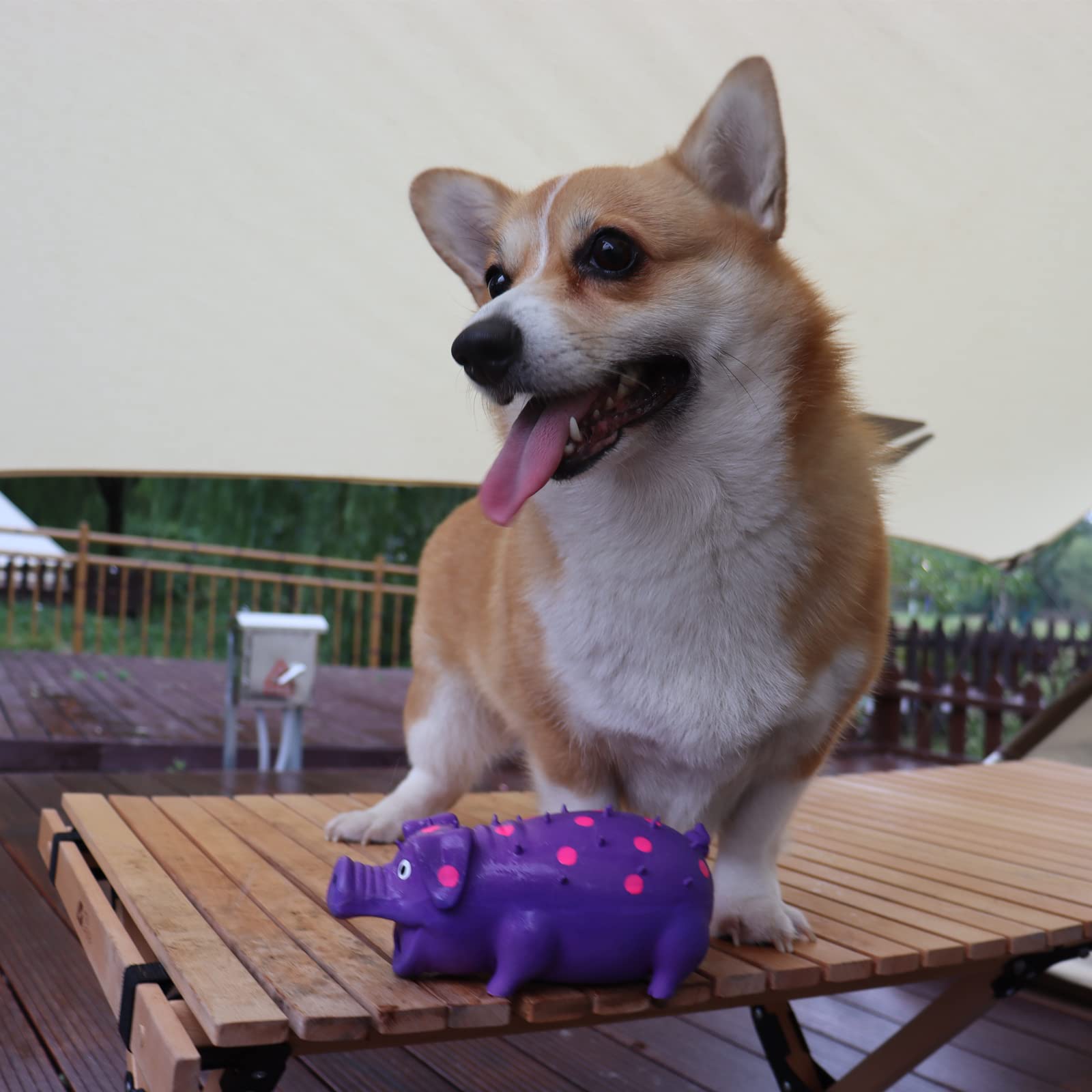 Juguete HCHYEY para todo tipo de perros, apto para juego en casa o al aire libre.