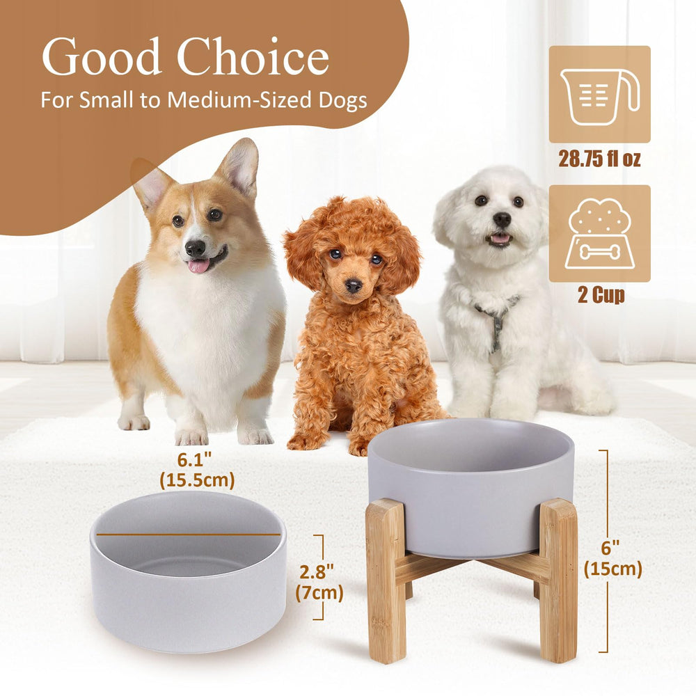 HCHLQLZ tazón cerámico anti-derrame para gatos y perros pequeños, diseño práctico.