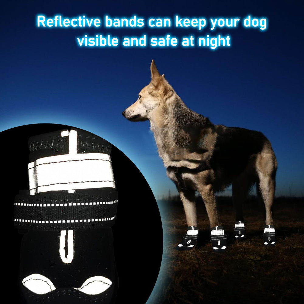 Hcpet facilita la adaptación gradual a los zapatos nuevos para perros