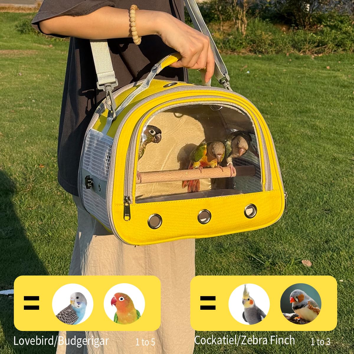 Diseño amarillo ligero de Hcupet para transportar aves con comodidad.