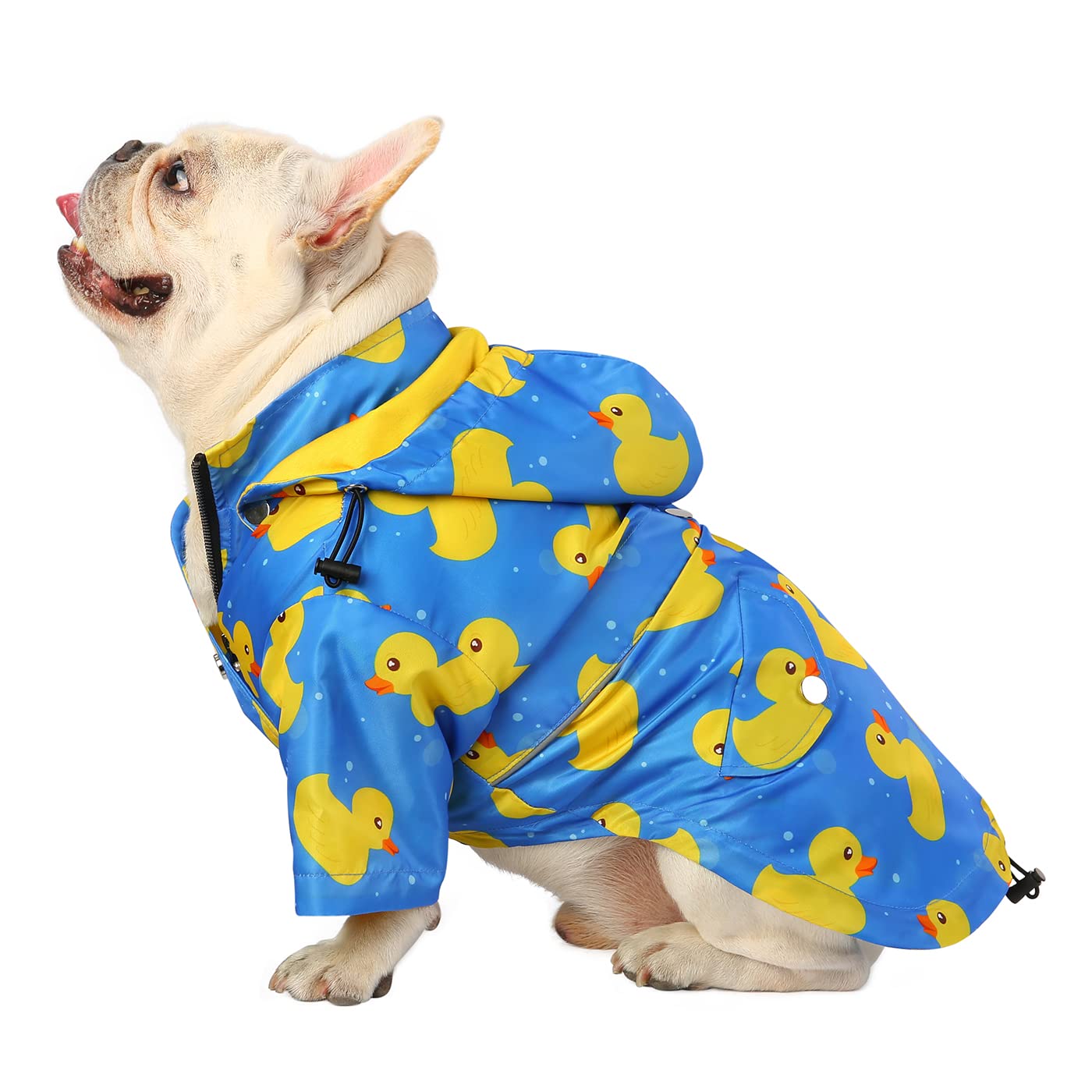 HDE capa de lluvia para perro, doble capa con capucha, ideal para paseos bajo la lluvia