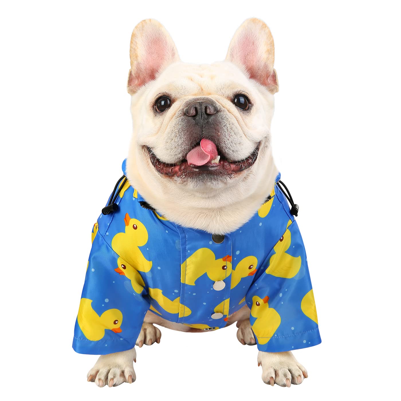 HDE capa impermeable para perro, mantiene seco durante caminatas