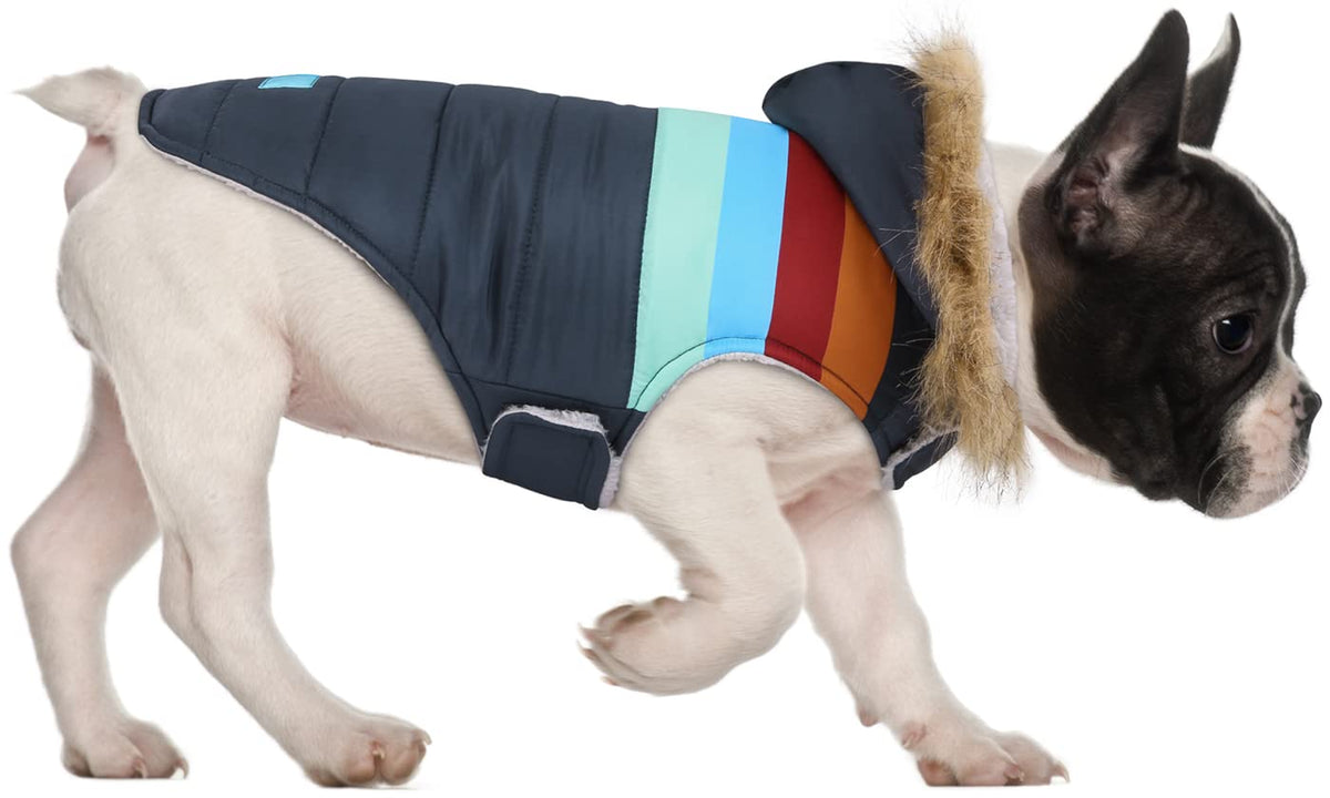 Chaqueta acolchada HDE para perros vista frontal, ideal para caminatas frías.