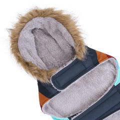 Abertura para arnés en la chaqueta HDE para perros, paseo cómodo.