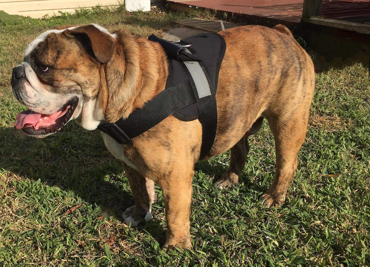 Arnés HDP para perros grandes, vista frontal, mejora el control durante paseos.