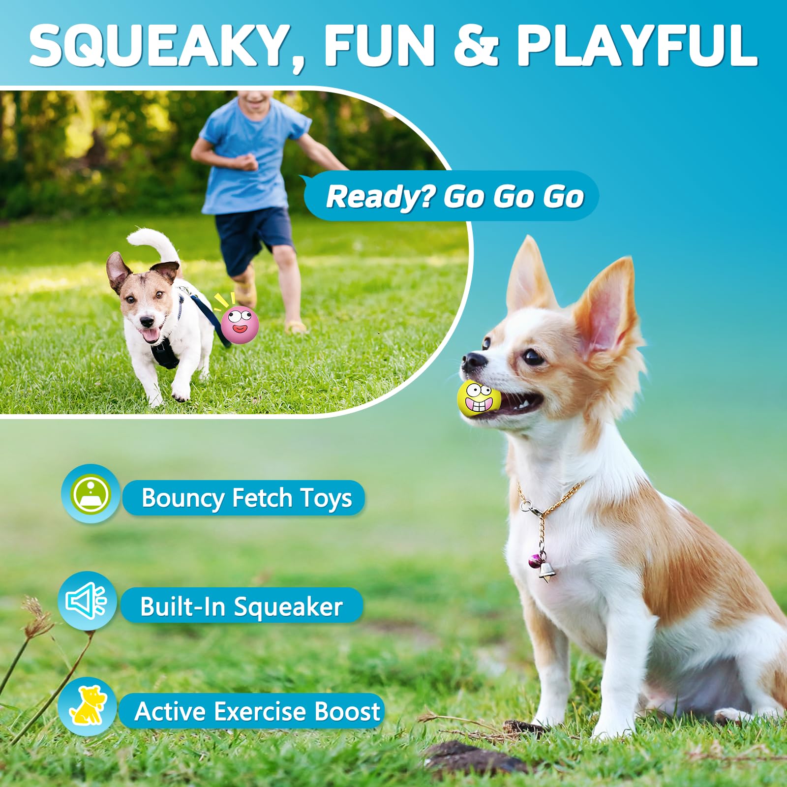 Juego interactivo con bolas para perros, activa la persecución