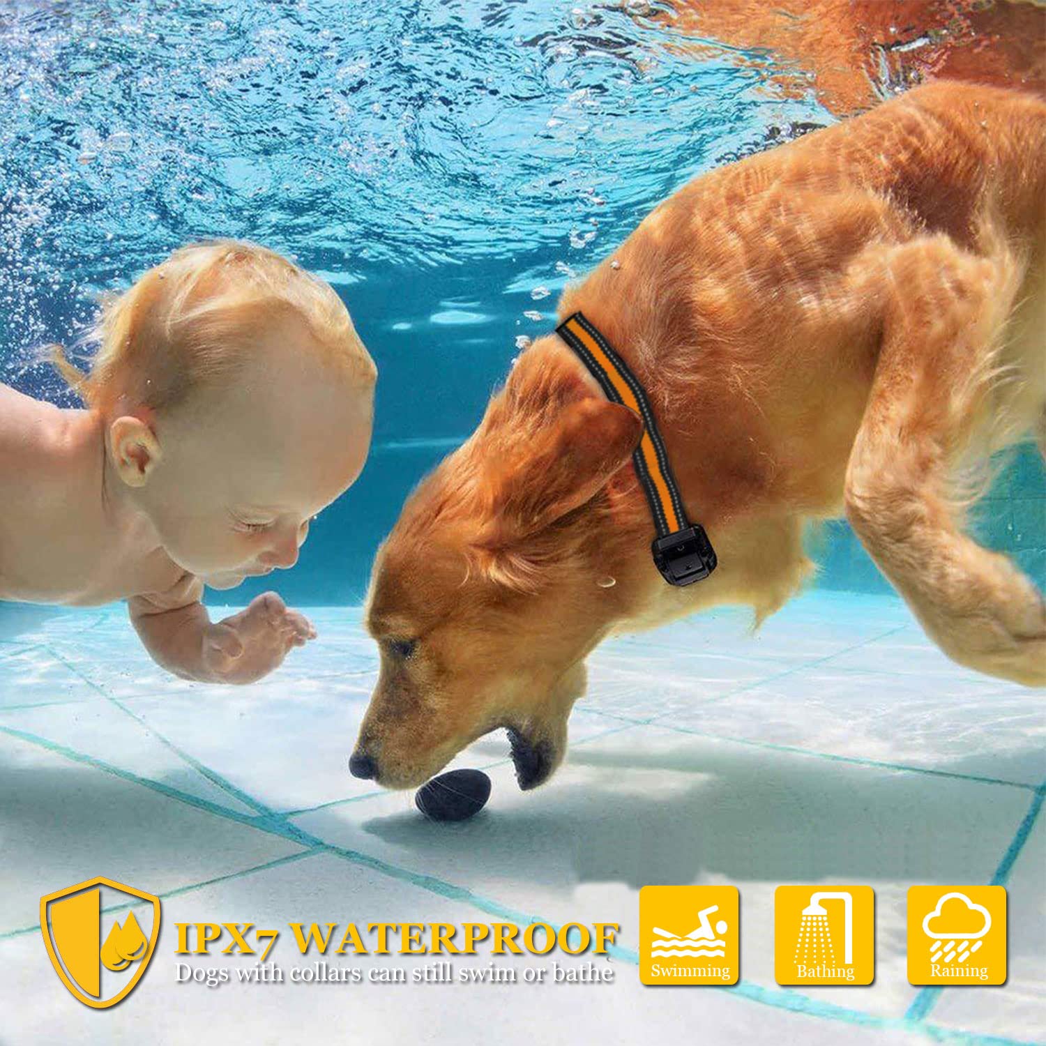 Heaflex collar resistente al agua IP67 ideal para entrenar al aire libre.