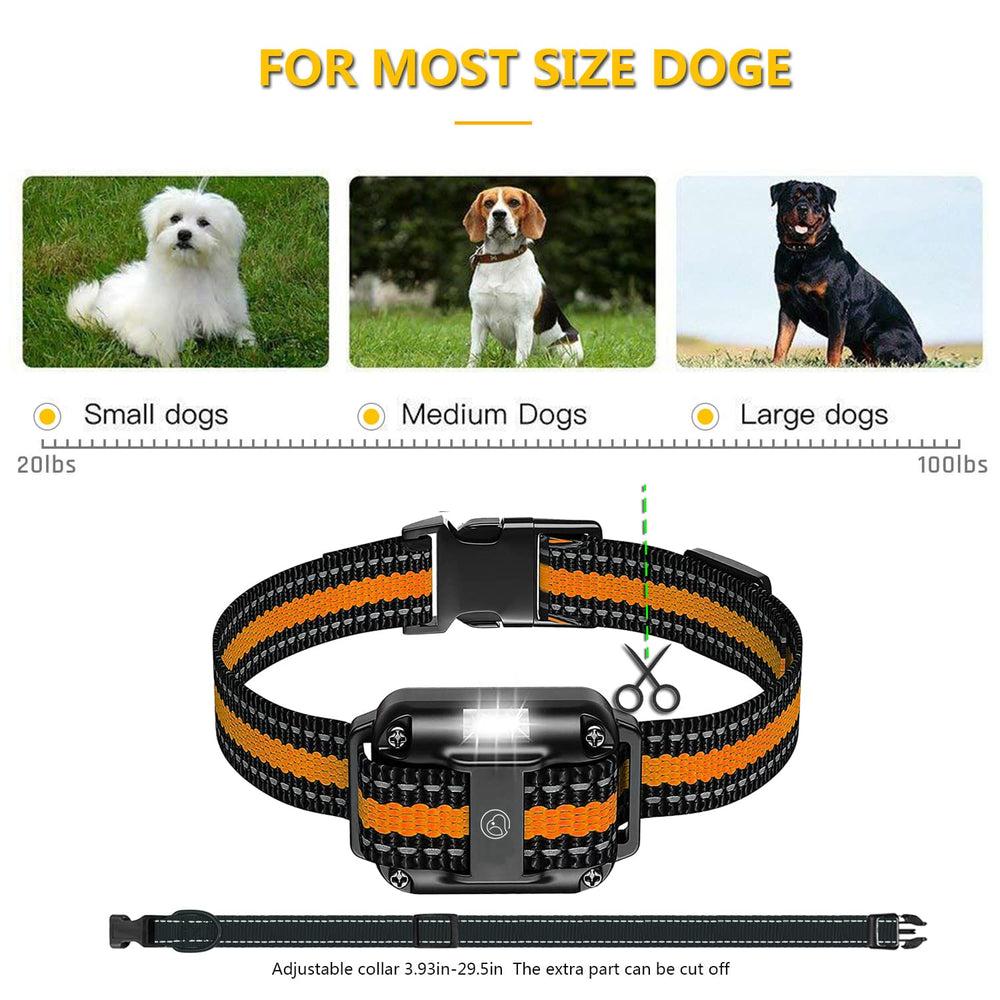Luz LED Heaflex para localizar al perro en la oscuridad.