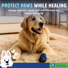 Healers PetCare Botita médica ajuste-cierre seguro para paseo cómodo.