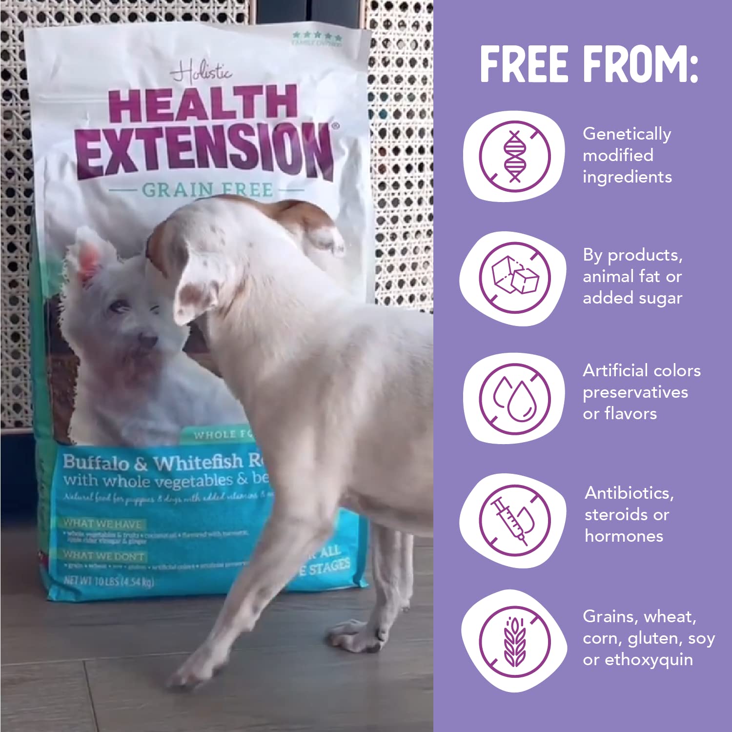 Health Extension bocado miniatura para perros con dientes sensibles y masticación agradable.