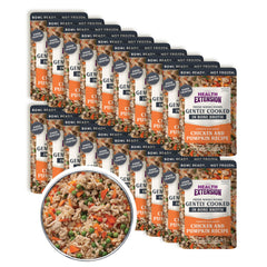 Health Extension comida lista en tazón: pollo y calabaza, ideal para perros quisquillosos