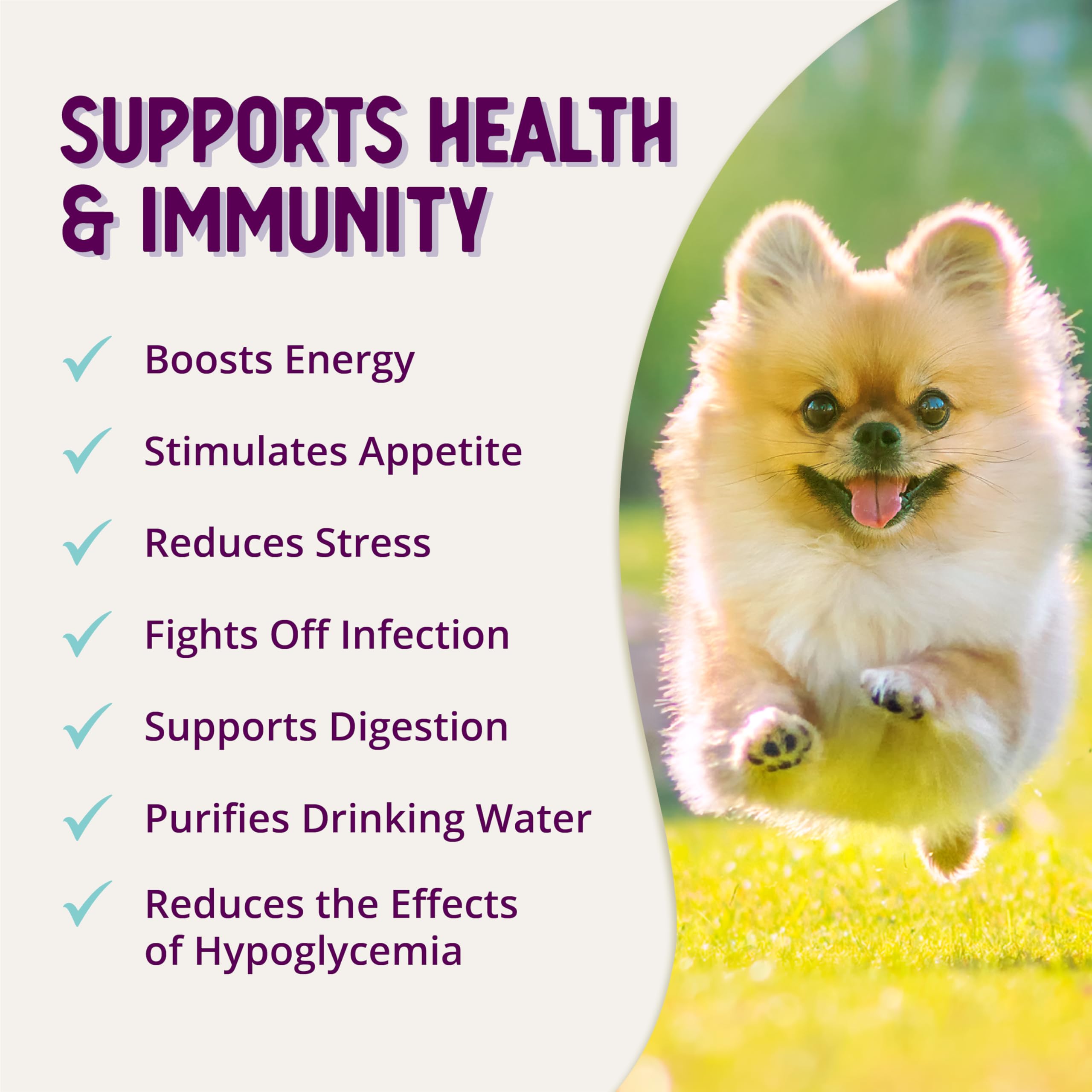 Health Extension bienestar-perro-durante-tiempos-dificiles: apoyo holístico para días de cambio