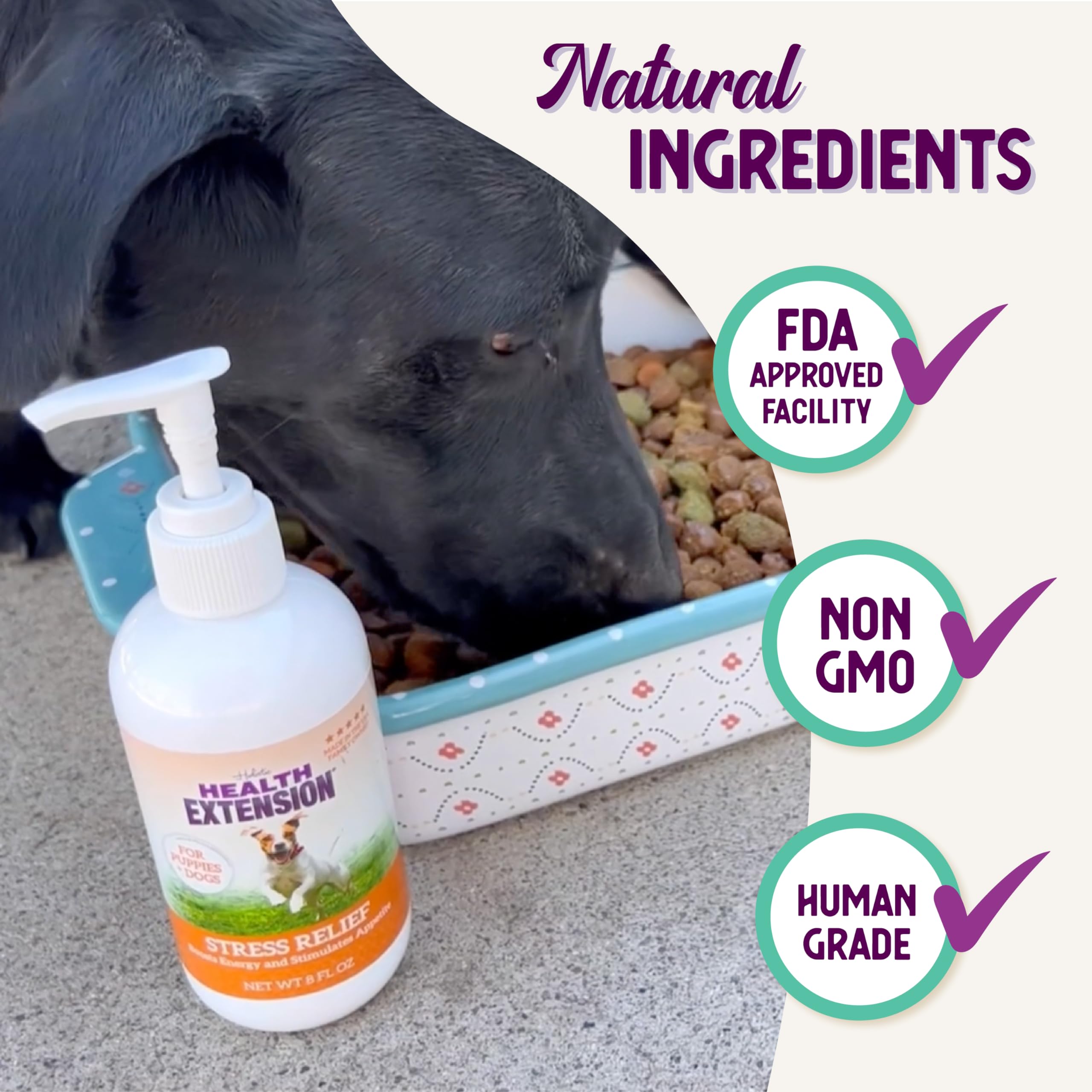 Health Extension formula-liquida-perro: fórmula líquida fácil de usar para suplementar la rutina