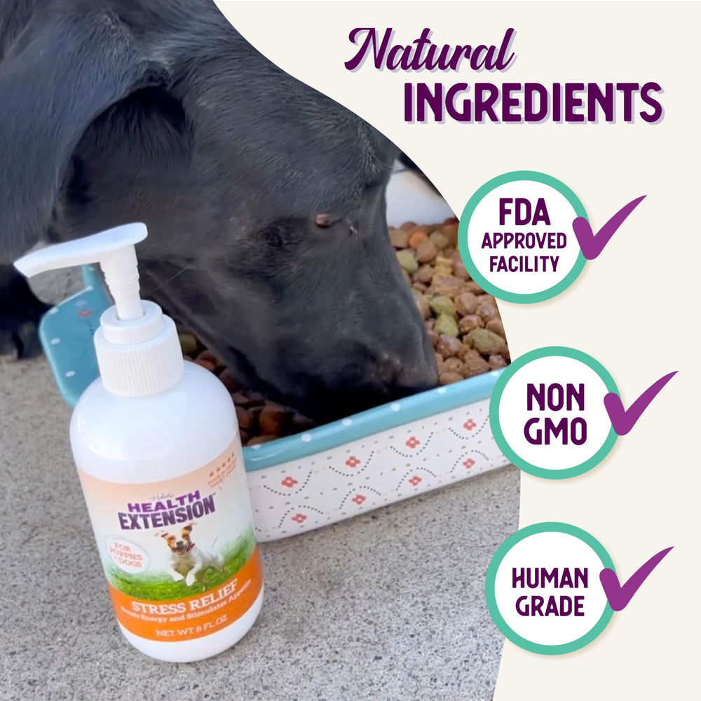 Health Extension formula-liquida-perro: fórmula líquida fácil de usar para suplementar la rutina