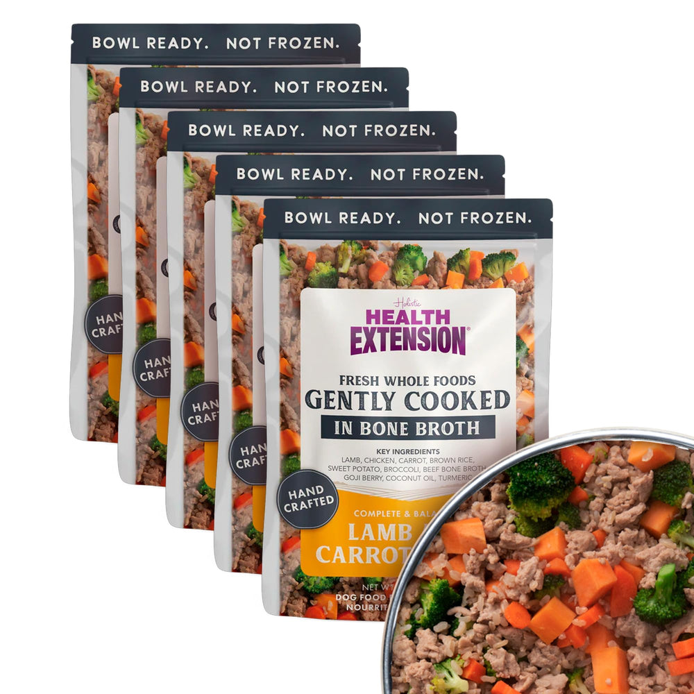 Health Extension Gently Cooked: cordero y zanahoria en plato, comida casera para perros