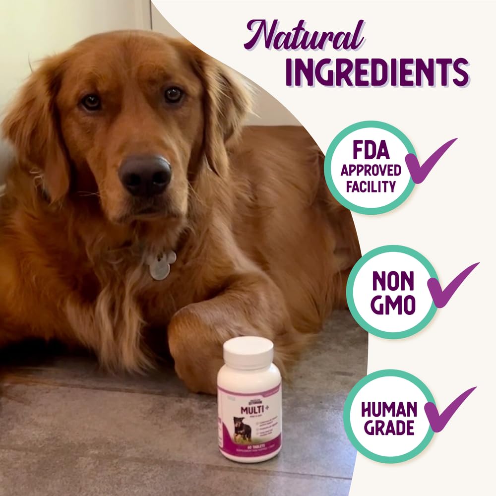 Huesos y articulaciones fuertes para perros con Health Extension