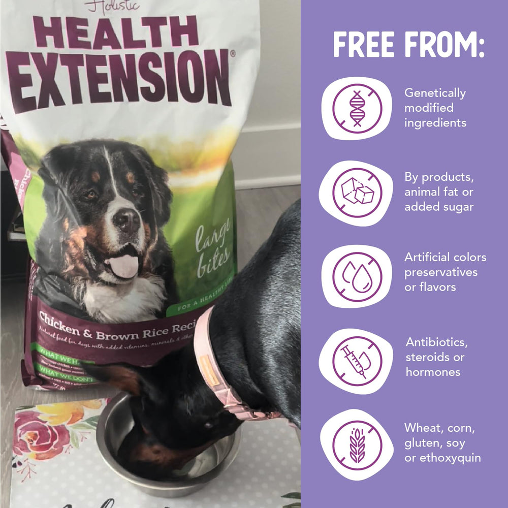 Health Extension Large Bites cúrcuma y jengibre para bienestar diario