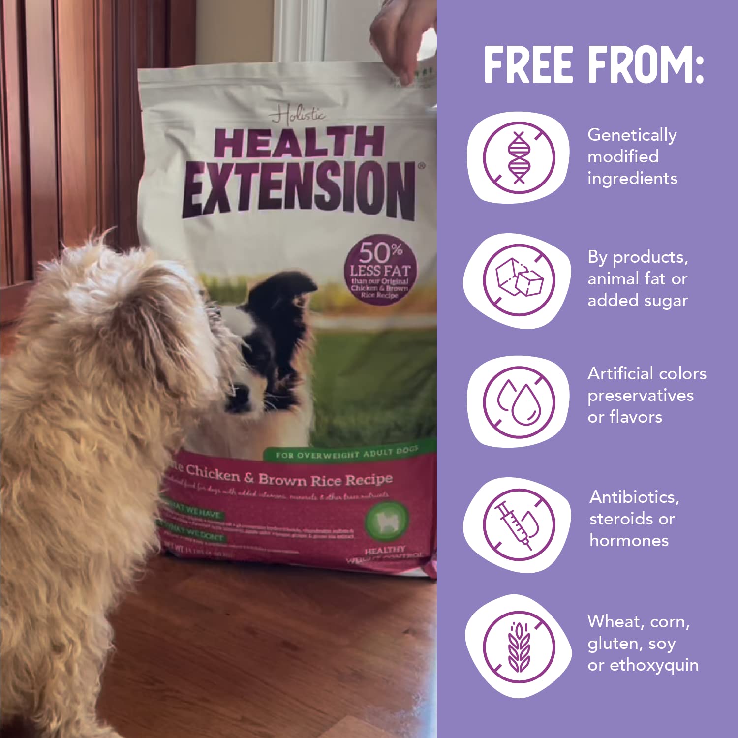 Health Extension Lite: probióticos para apoyo digestivo en perros.