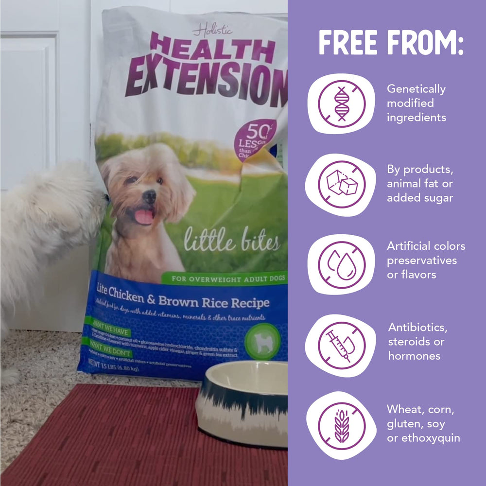 Health Extension Little Bites Lite superfoods con cúrcuma y arándanos para nutrición.