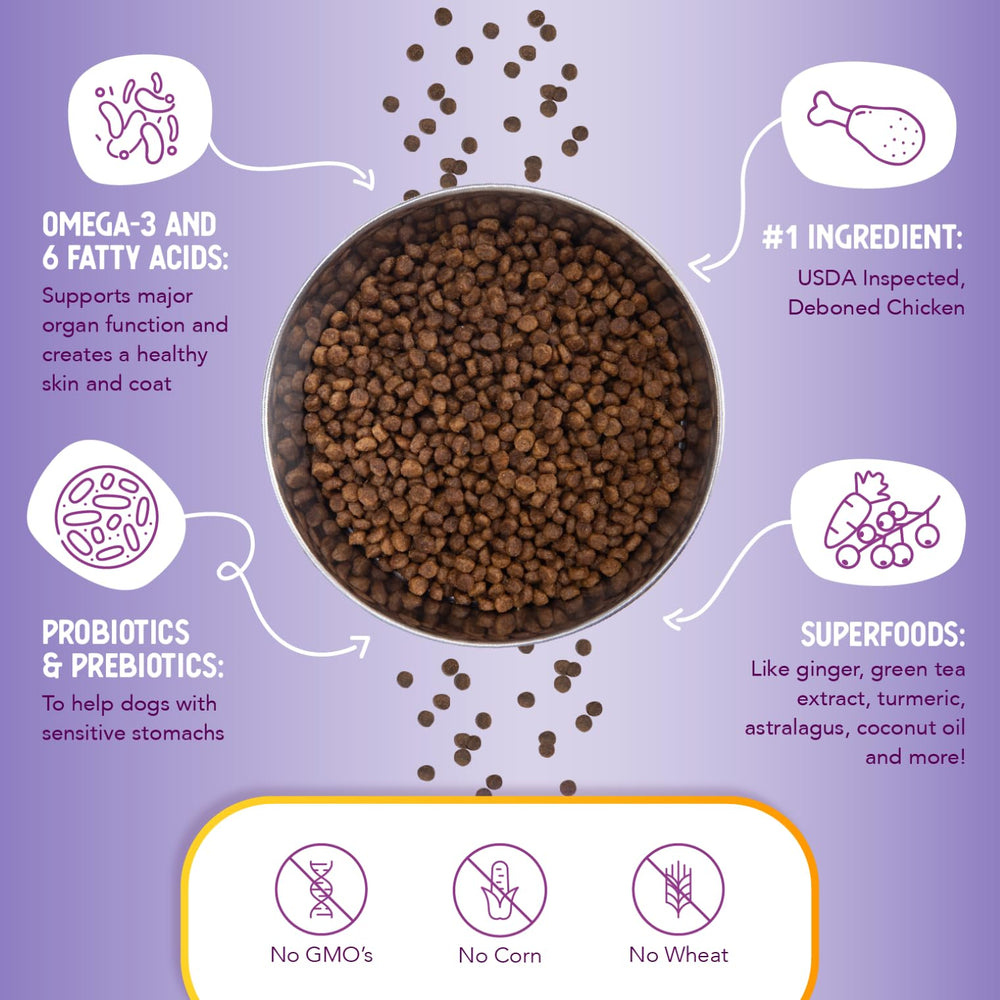 Health Extension Little Bites con probióticos y prebióticos para la digestión equilibrada