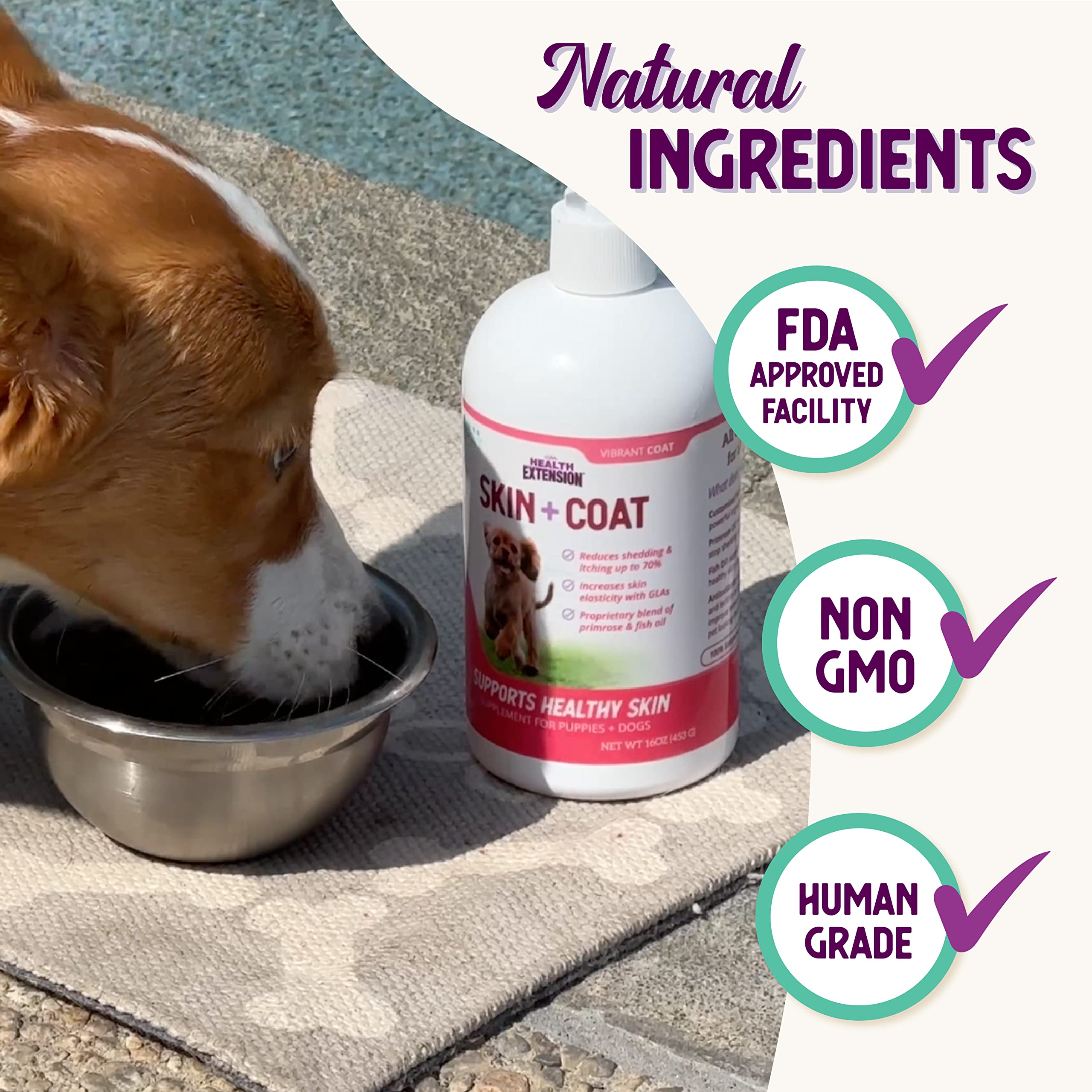 Health Extension Piel y Pelaje: ingredientes naturales que apoyan piel y pelaje de forma segura.