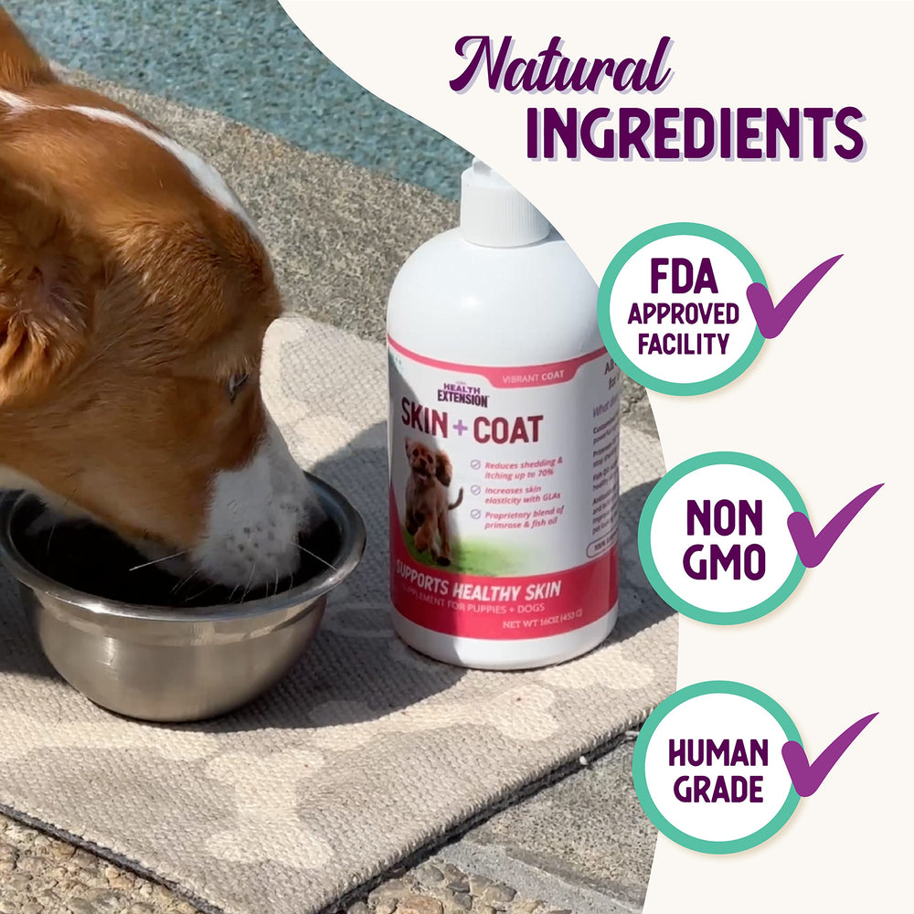Health Extension Piel y Pelaje: ingredientes naturales que apoyan piel y pelaje de forma segura.