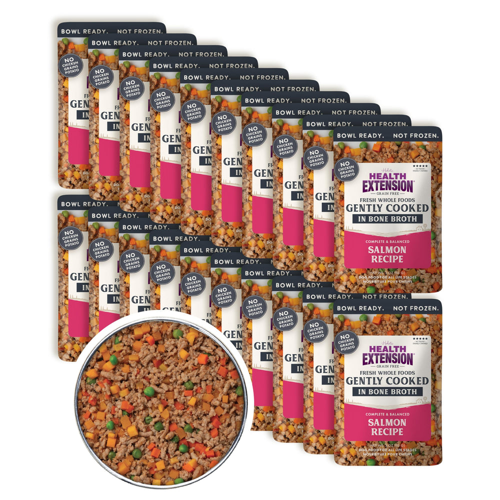 Health Extension Salmon Dog Food en plato-listo para comer rápido