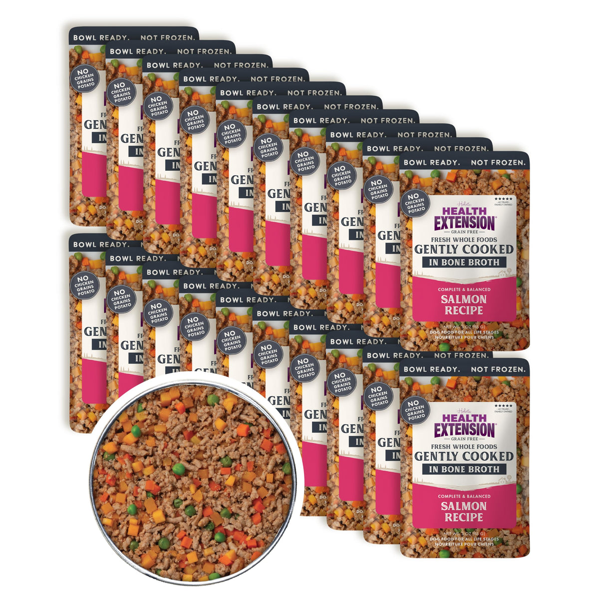 Health Extension Salmon Dog Food en plato-listo para comer rápido