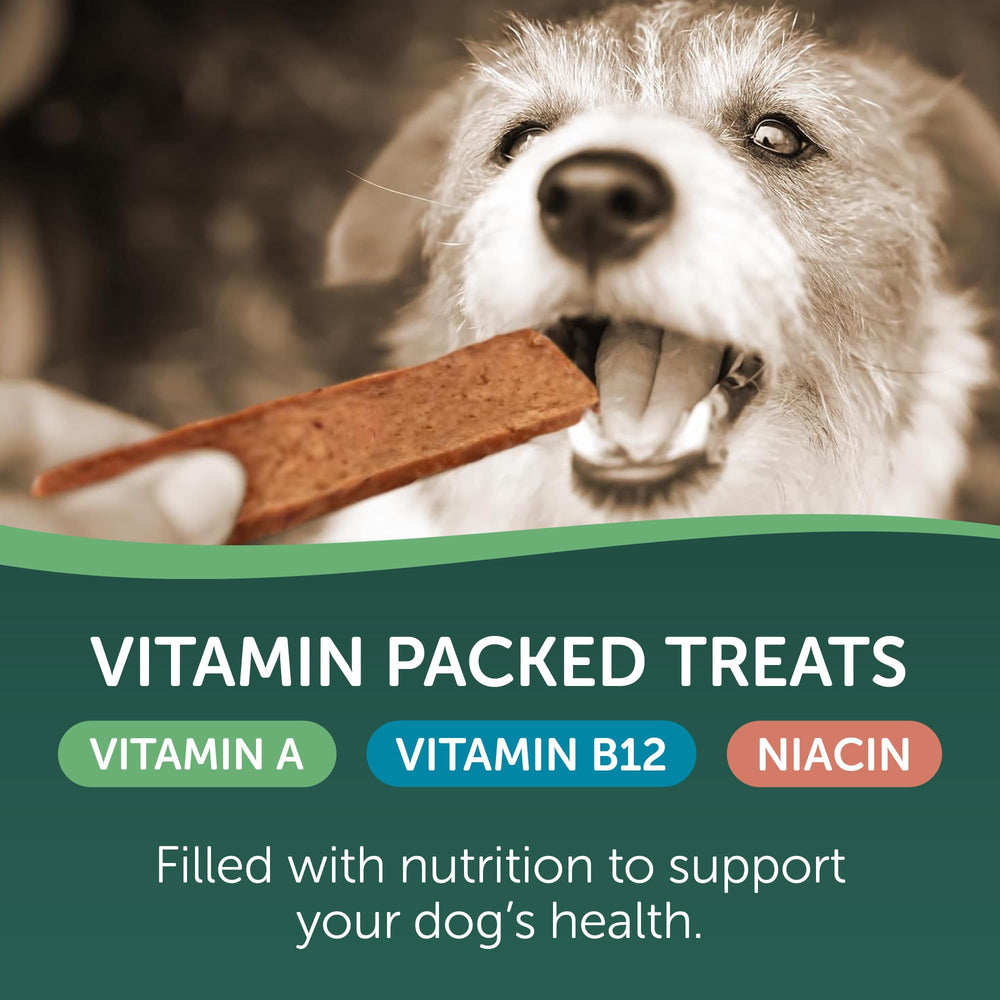 HEALTHFULS omega-3 salmón para perros, apoyo potencial a corazón y articulaciones.