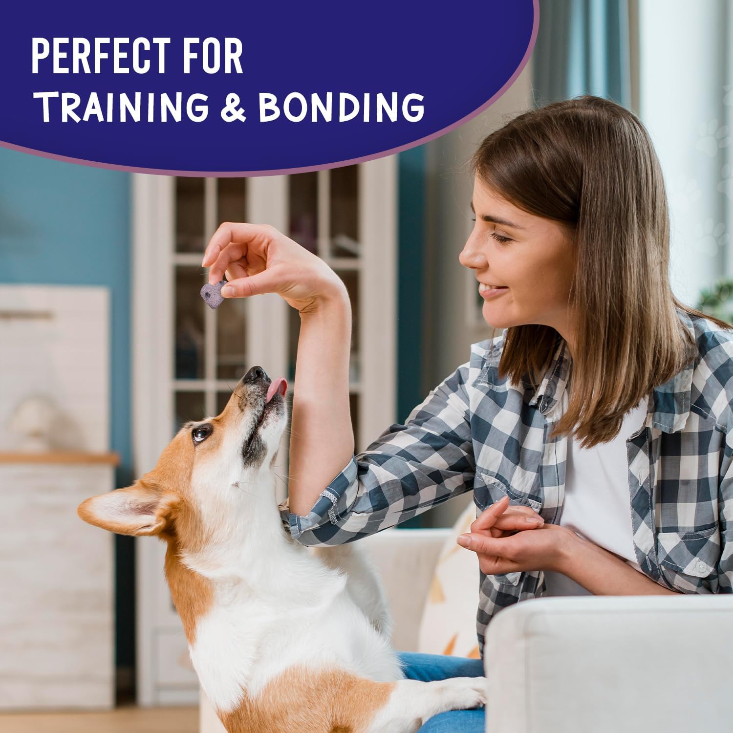 Healthpro Prods Much-Loved Dog: sin preservantes y natural, como en casa para perros.