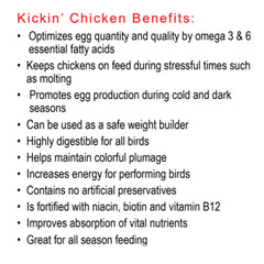 Healthy Coat Kickin mejora la energía para mayor vitalidad y rendimiento diario