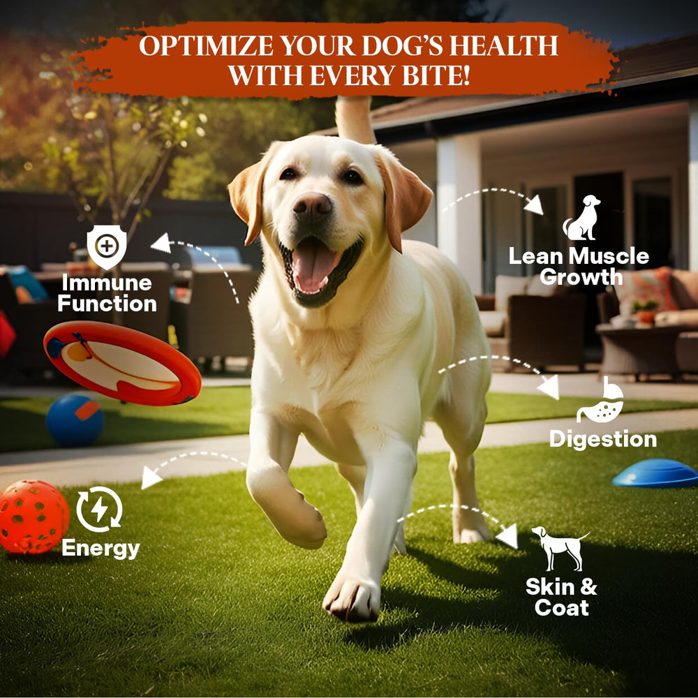 Healthy Dogma PetMix Deshidratado con leche de cabra: apoyo digestivo suave