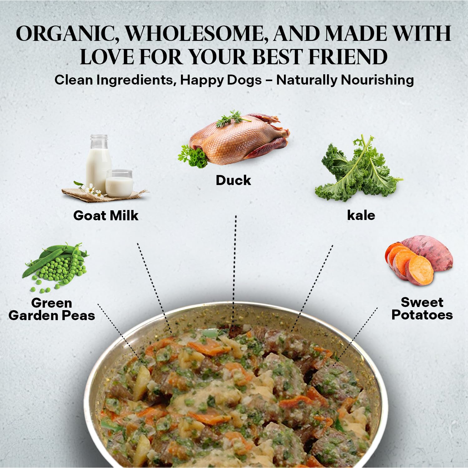 Healthy Dogma PetMix Deshidratado: verduras y quinoa para energía diaria