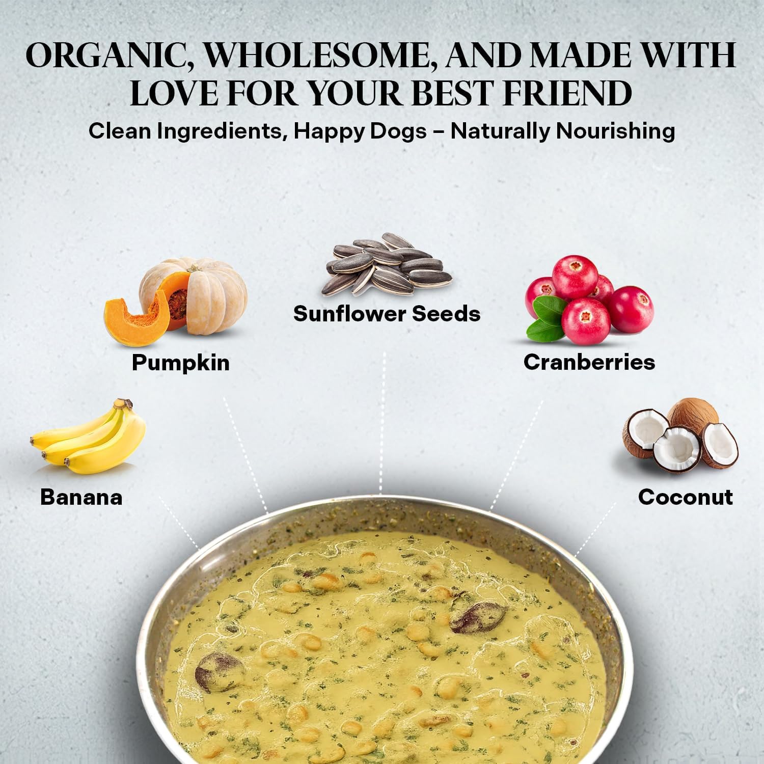 Healthy Dogma PetMix En Agua Hidratando, mezcla rápida para comida casera