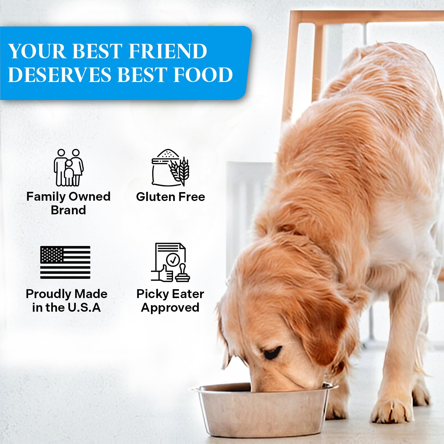 Healthy Dogma PetMix Fish Dinner con superalimentos para inmunidad y digestión.