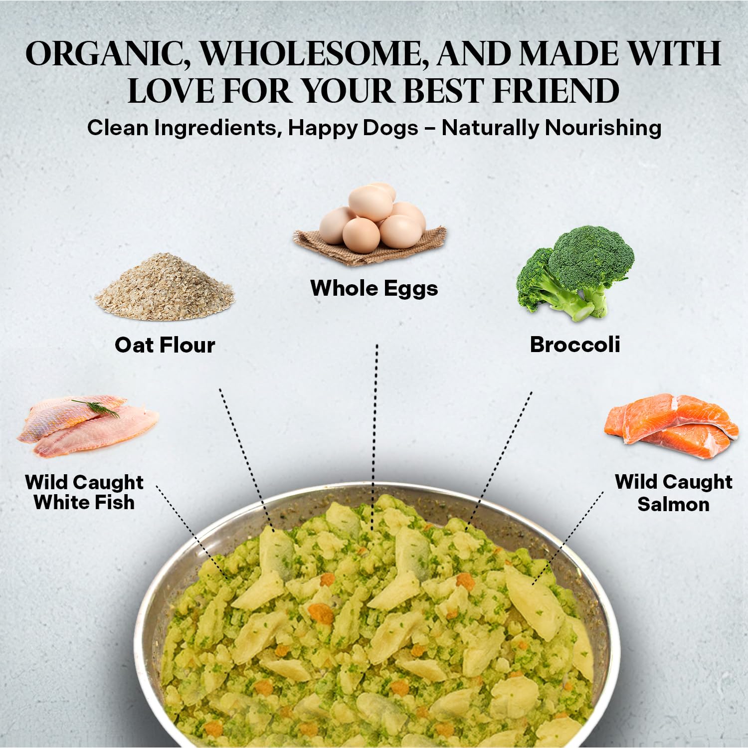 Healthy Dogma PetMix Fish Dinner con merluza blanca, proteína limpia.