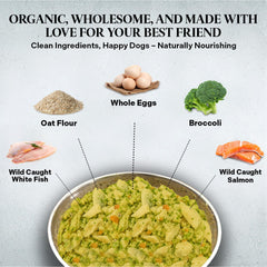 Healthy Dogma PetMix Fish Dinner con merluza blanca, proteína limpia.