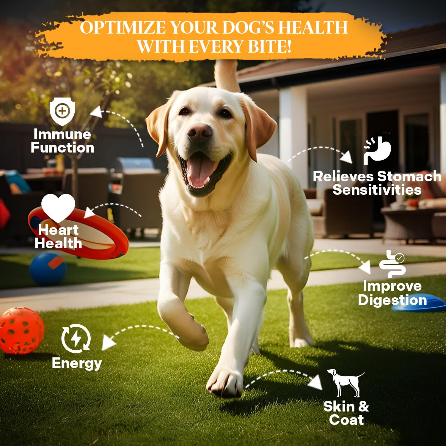 Healthy Dogma PetMix Ingredientes Naturales, sin conservantes, opción suave para digestión