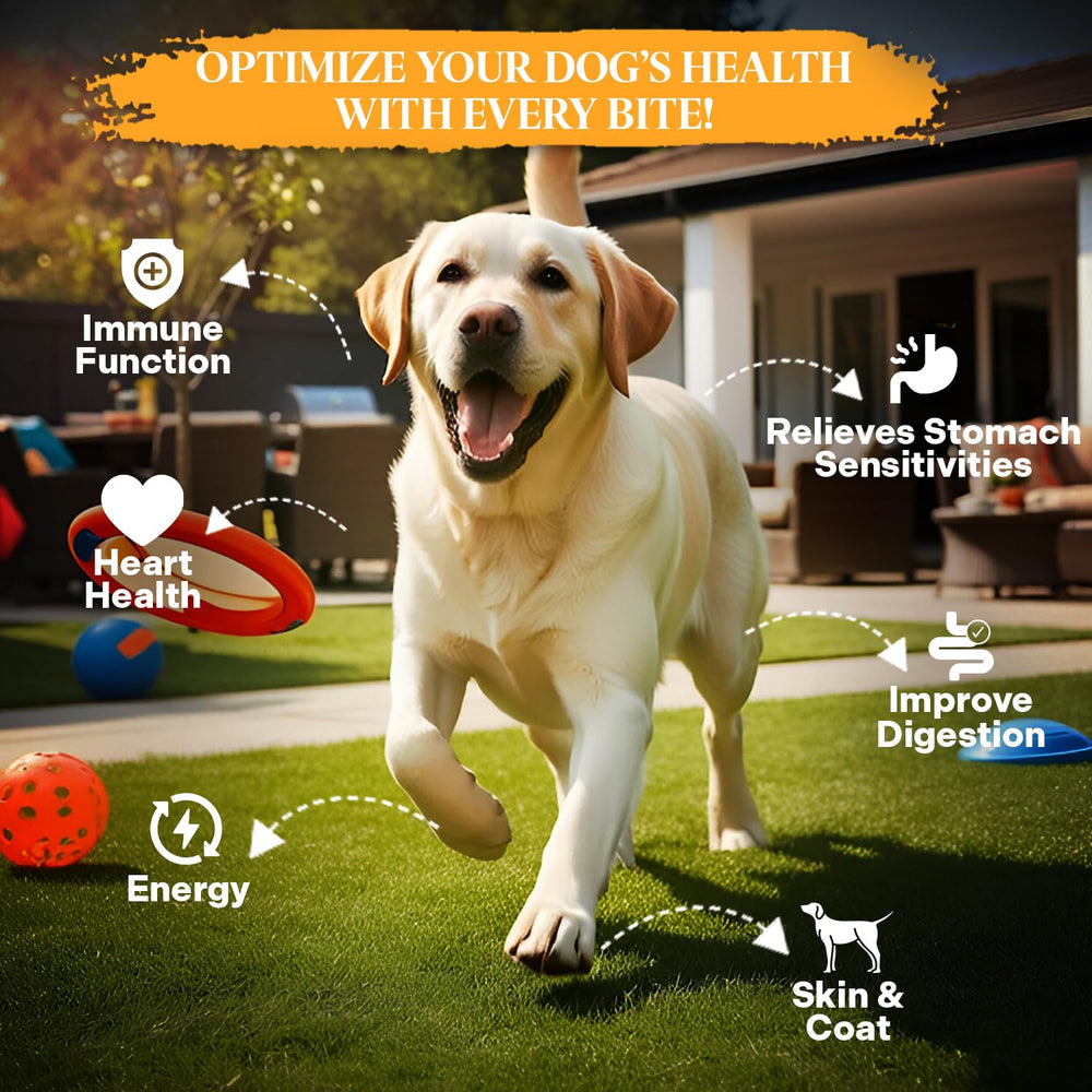Healthy Dogma PetMix Ingredientes Naturales, sin conservantes, opción suave para digestión