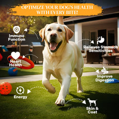 Healthy Dogma PetMix Ingredientes Naturales, sin conservantes, opción suave para digestión