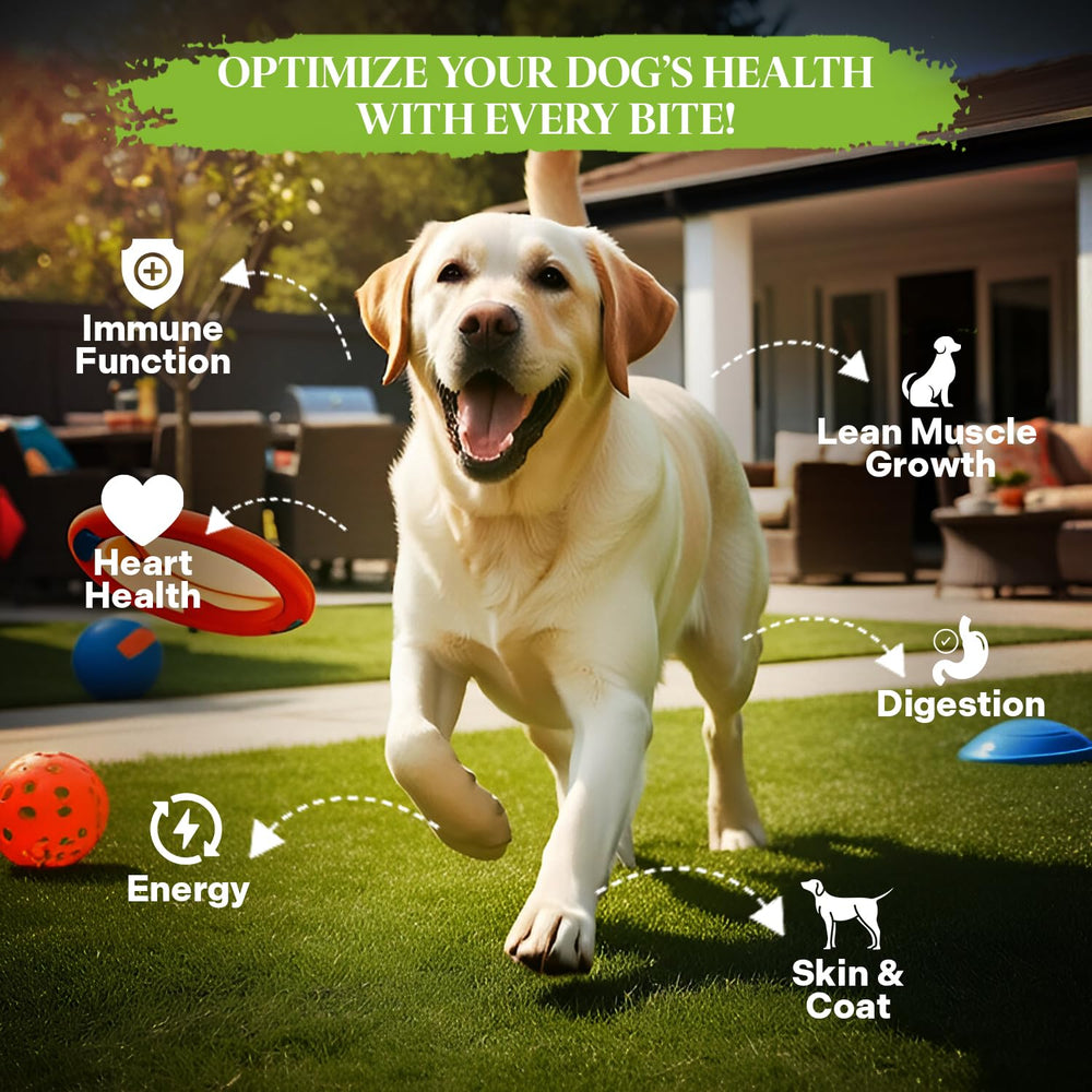 Healthy Dogma PetMix Original, ingredientes de calidad humana para perros.