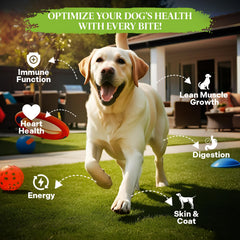 Healthy Dogma PetMix Original, ingredientes de calidad humana para perros.