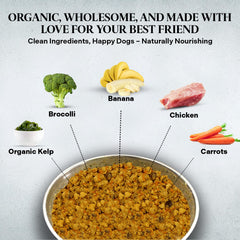 Healthy Dogma PetMix servido en tazón, experiencia de comida casera para perros.