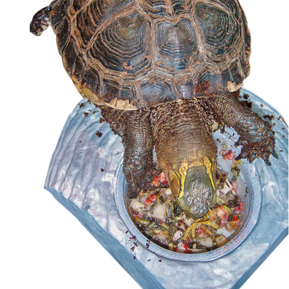 Healthy Herp fabricación en Estados Unidos, alimento natural para tortugas