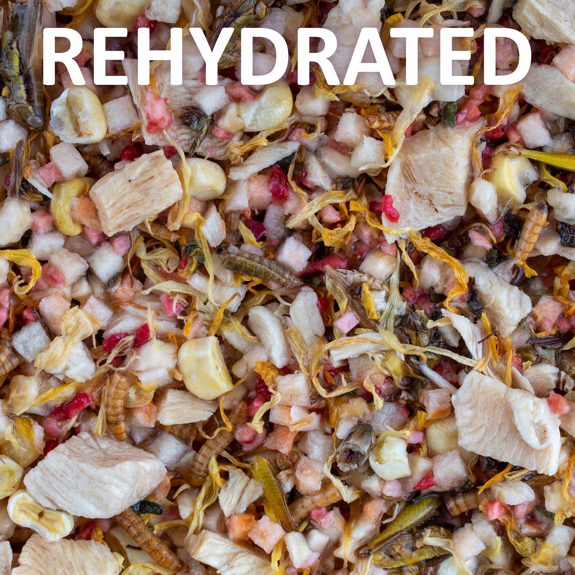 Healthy Herp calcio reptil para tortugas, suplemento útil.