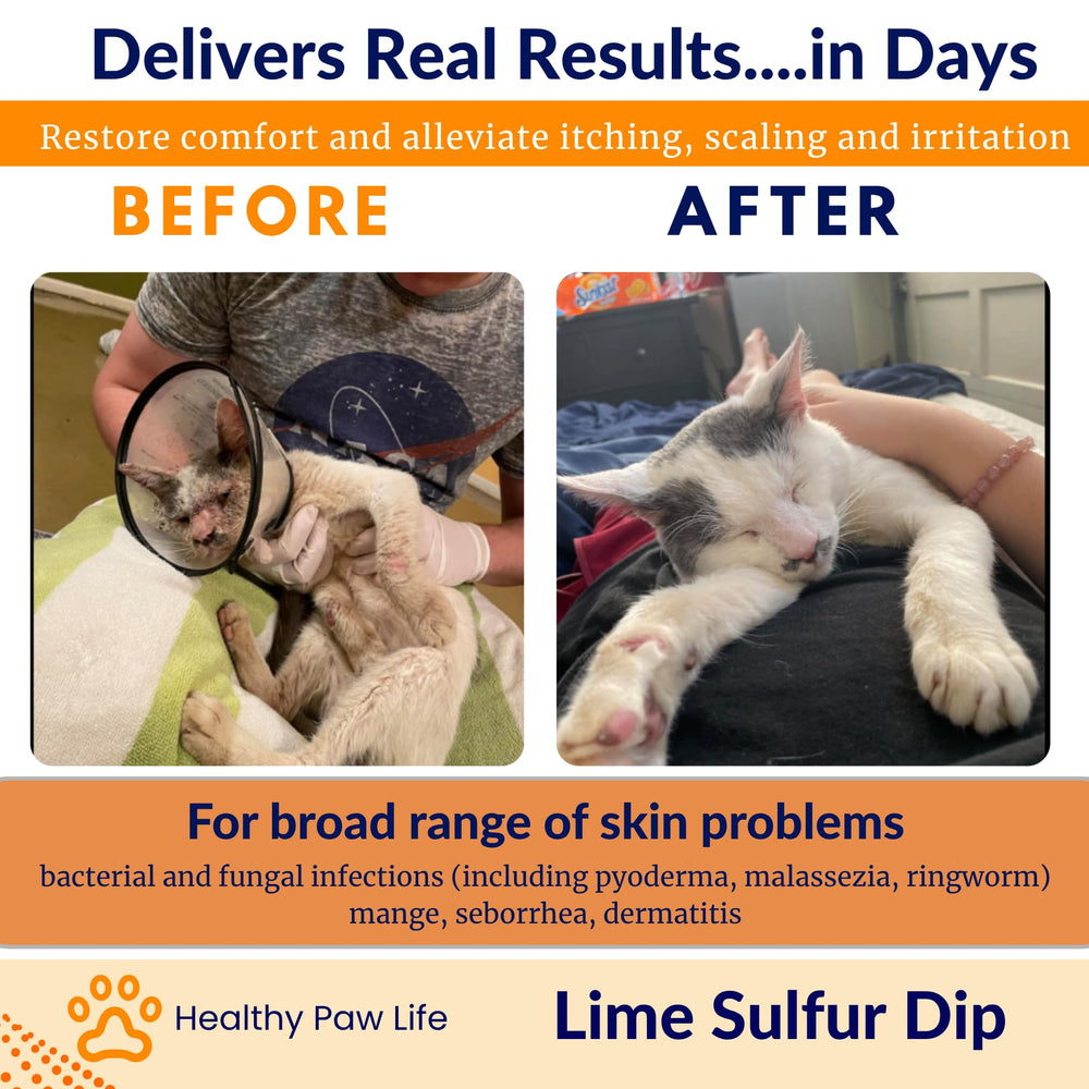 Healthy Paw Life dip azufre lima, uso para perros, gatos, caballos y ganado.
