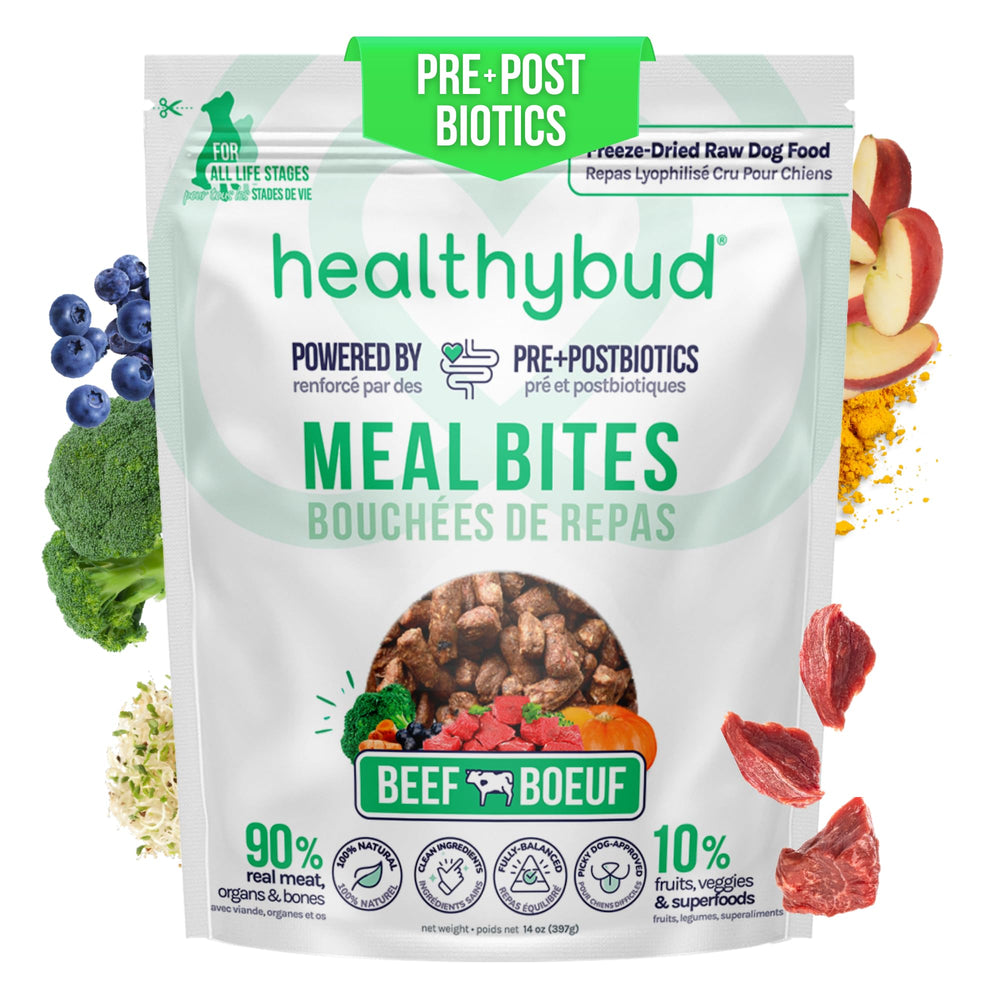 Healthybud alimento sin cereal para perros, fácil de digerir.
