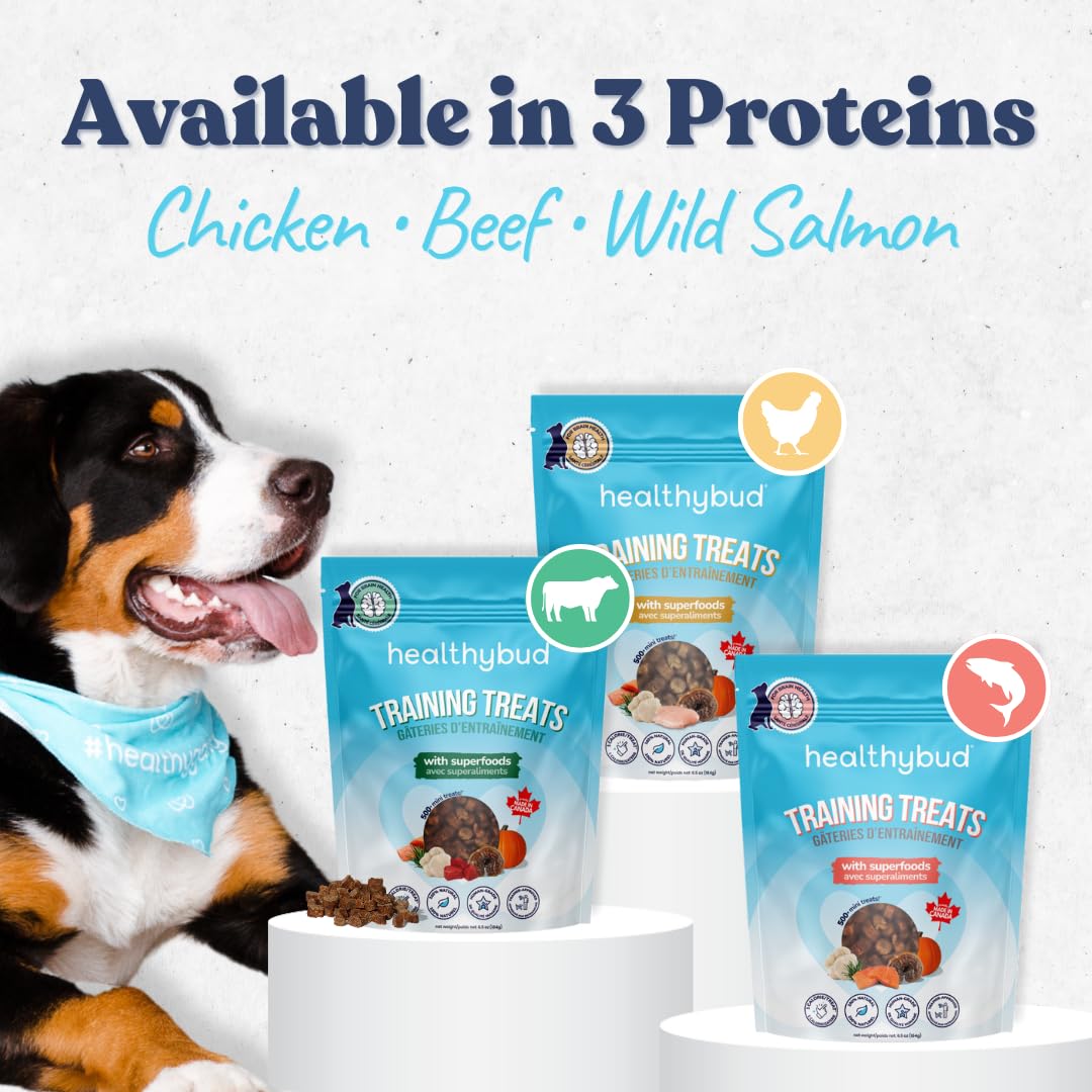 healthybud trozos higado-res sabor intenso y recompensa de entrenamiento